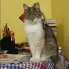 Отзыв от Татьяна Рыбакова